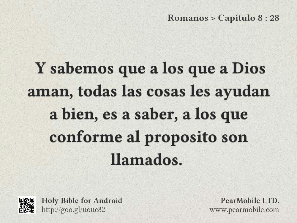 Romanos, Capítulo 8:28